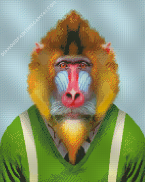 Mandrill Wearing Clothes Diamond Painting