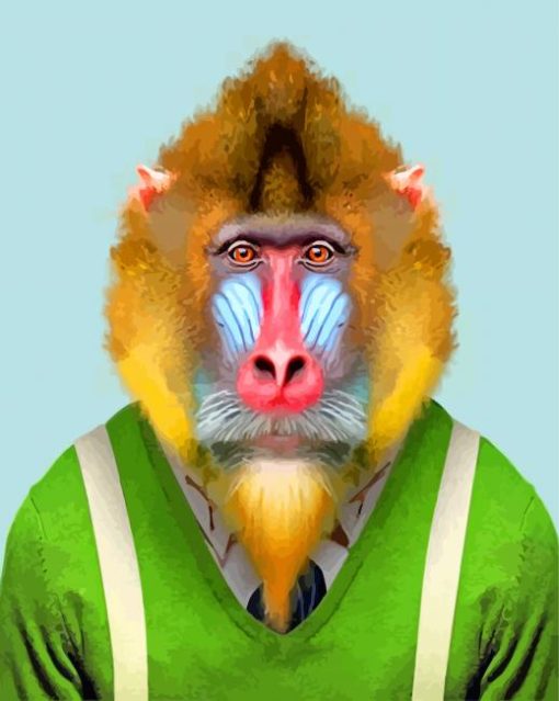 Mandrill Wearing Clothes Diamond Painting