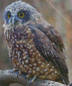 Morepork Bird Diamond Painting