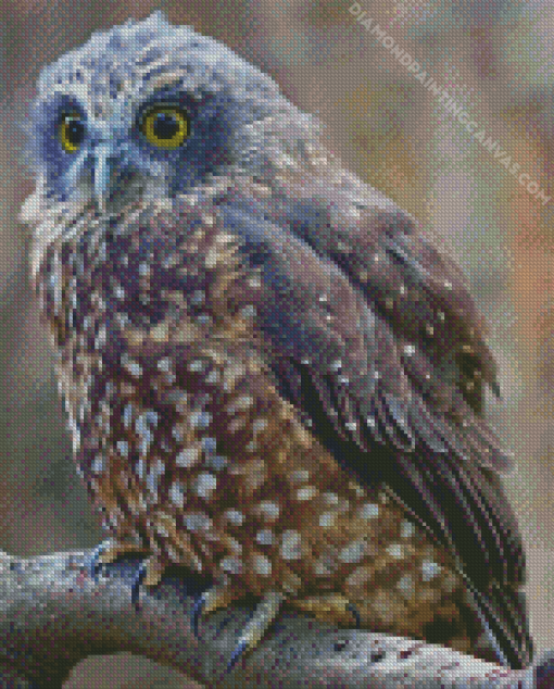 Morepork Bird Diamond Painting