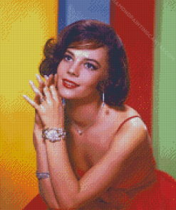 Natalie Wood Diamond Painting