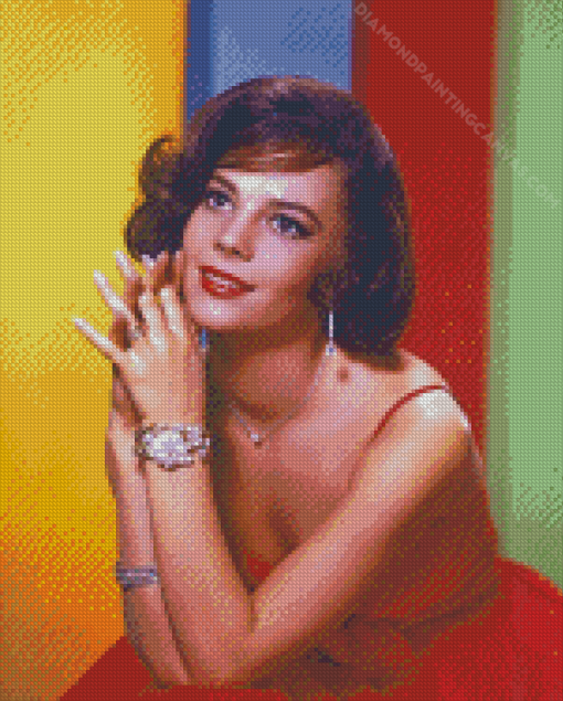 Natalie Wood Diamond Painting