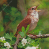 Nightingale Side View Diamond Painting