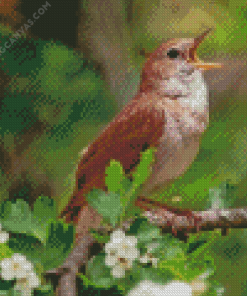 Nightingale Side View Diamond Painting