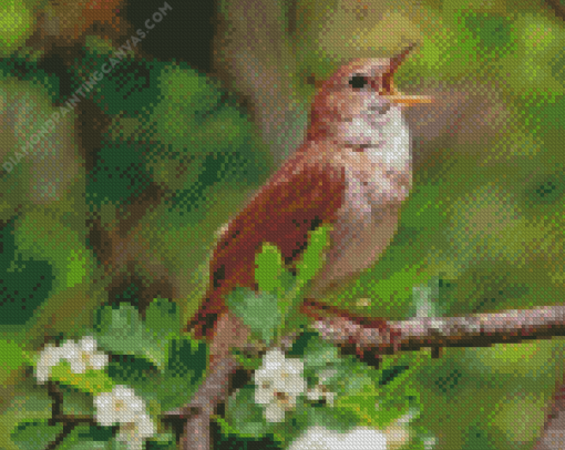 Nightingale Side View Diamond Painting