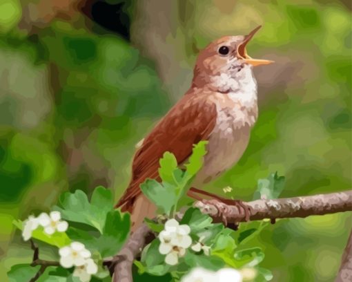 Nightingale Side View Diamond Painting