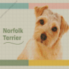 Norfolk Terrier Poster Diamond Painting