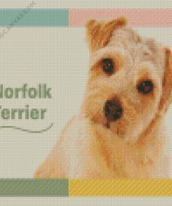 Norfolk Terrier Poster Diamond Painting