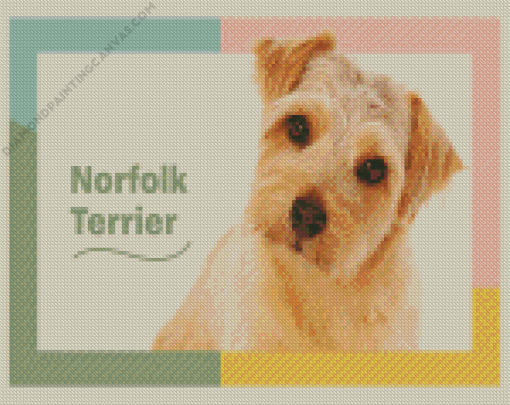 Norfolk Terrier Poster Diamond Painting