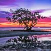 Nudgee Beach Pink Sky Diamond Painting