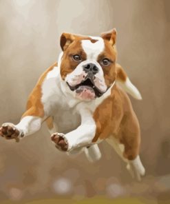 Old English Bulldog Diamond Painting