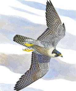 Peregrine Falcon Diamond Painting