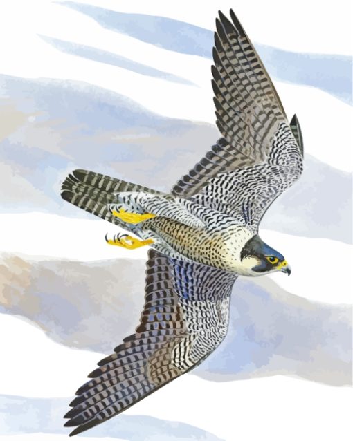 Peregrine Falcon Diamond Painting