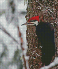 Pileated Woodpecker Diamond Painting