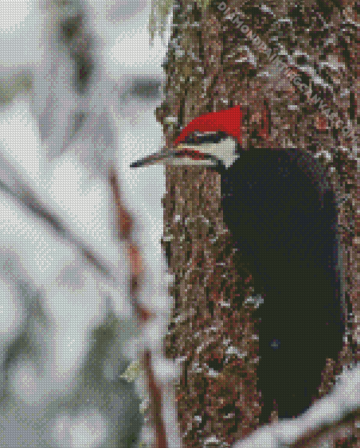 Pileated Woodpecker Diamond Painting