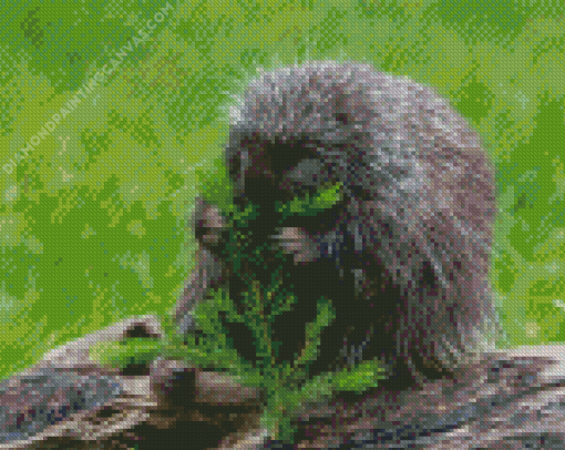 Porcupine Eating Diamond Painting