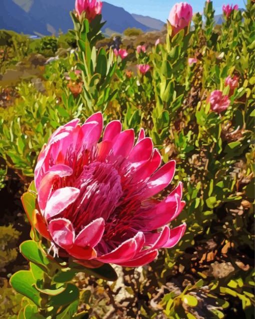 Proteas Flowering Plant Diamond Painting