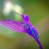 Purple Hummingbird Diamond Painting