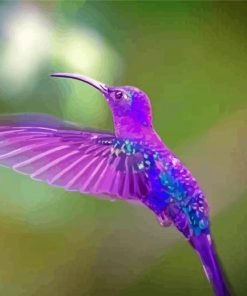 Purple Hummingbird Diamond Painting