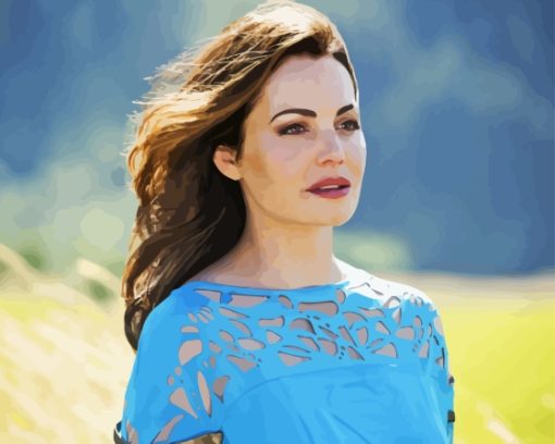 The Actress Erica Durance Diamond Painting