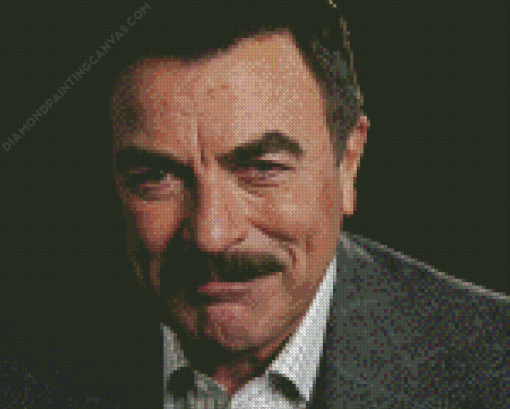 Tom Selleck Diamond Painting