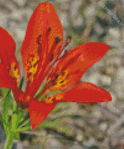 Western Red Lily Flower Diamond Painting