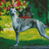 Whippet Dog Diamond Painting