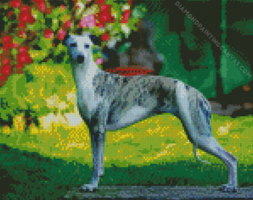 Whippet Dog Diamond Painting