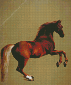 Whistlejacket By Stubbs Diamond Painting