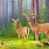 Whitetail Deer Diamond Painting