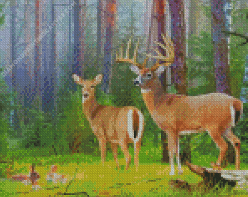 Whitetail Deer Diamond Painting