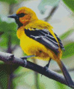 Yellow Oriole Bird Diamond Painting