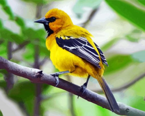 Yellow Oriole Bird Diamond Painting