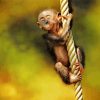 Baby Monkey Ape Diamond Painting