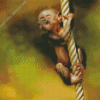 Baby Monkey Ape Diamond Painting