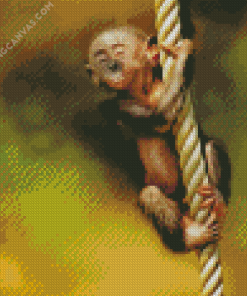 Baby Monkey Ape Diamond Painting