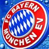 Bayern Munich Logo Diamond Painting