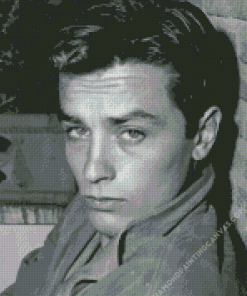 Black And White Alain Delon Diamond Painting