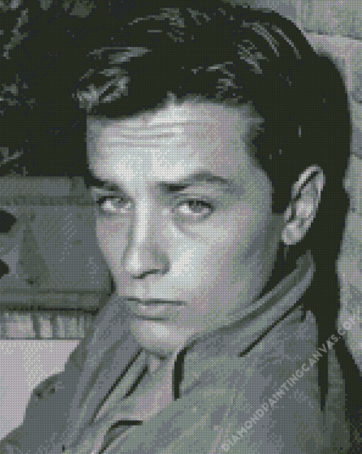 Black And White Alain Delon Diamond Painting