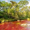 Cano Cristales River Colombia Diamond Painting