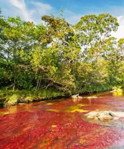 Cano Cristales River Colombia Diamond Painting