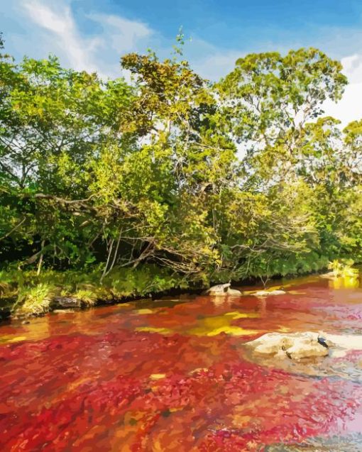 Cano Cristales River Colombia Diamond Painting