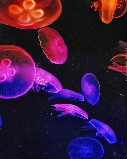 Colorful Jellyfish Diamond Painting