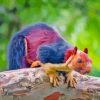 Colorful Squirrel On Tree Diamond Painting