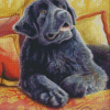 Cute Newfoundland Dog Diamond Painting