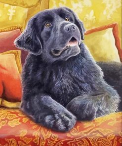 Cute Newfoundland Dog Diamond Painting