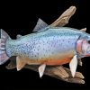 Cutthroat Trout Fish Diamond Painting