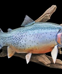 Cutthroat Trout Fish Diamond Painting