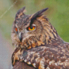 Eagle Owl With Yellow Eyes Diamond Painting