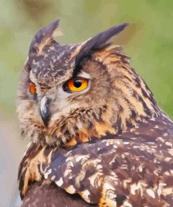 Eagle Owl With Yellow Eyes Diamond Painting